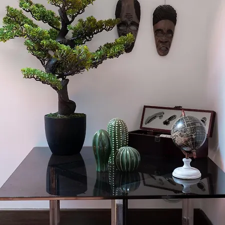 The Mansard Loft 罗马